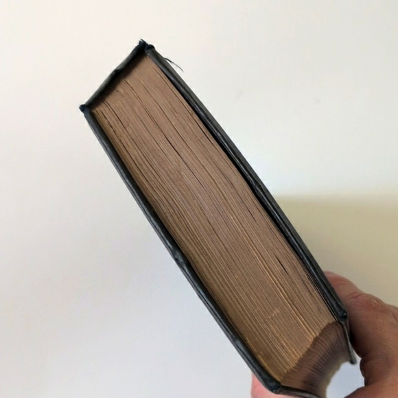 Swallow - H. Rider Haggard - 1900 - Picture 14 of 16